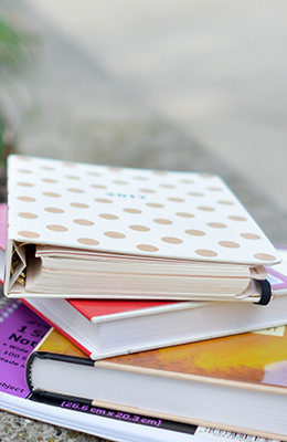 Presidente do ISCEDU